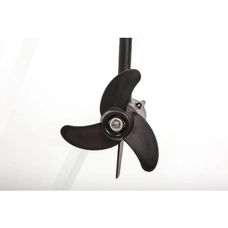 MOTEUR HASWING PROTRUAR 1.0 65 LBS 12V 2CV 4 MOTEUR HASWING PROTRUAR 1.0 65 LBS 12V 2CV – Image 4